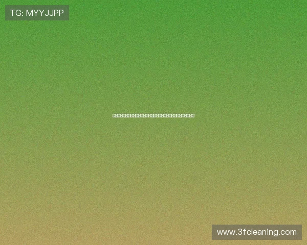 深入剖析世界杯库拉索科特迪瓦首发阵容，预测比赛走势与关键战术安排